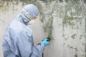 Best Emergency Mold Remediation  in Sonoma, CA